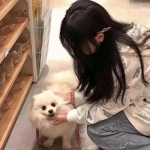 热血高校国夫破解版下载